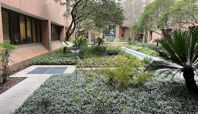 The facilities at Our Lady of Lake Regional Medical Center in Baton Rouge, LA 1